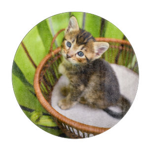 Planche À Découper Animaux de bébés cutest   Kitten dans le panier