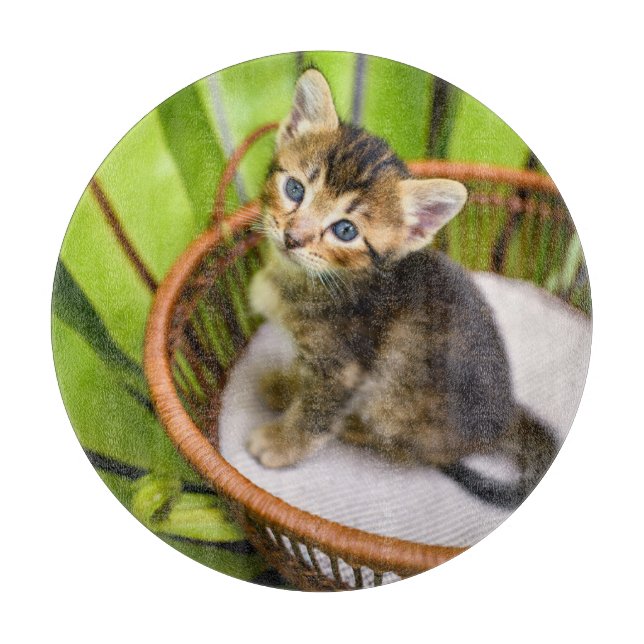 Planche À Découper Animaux de bébés cutest | Kitten dans le panier (Devant)