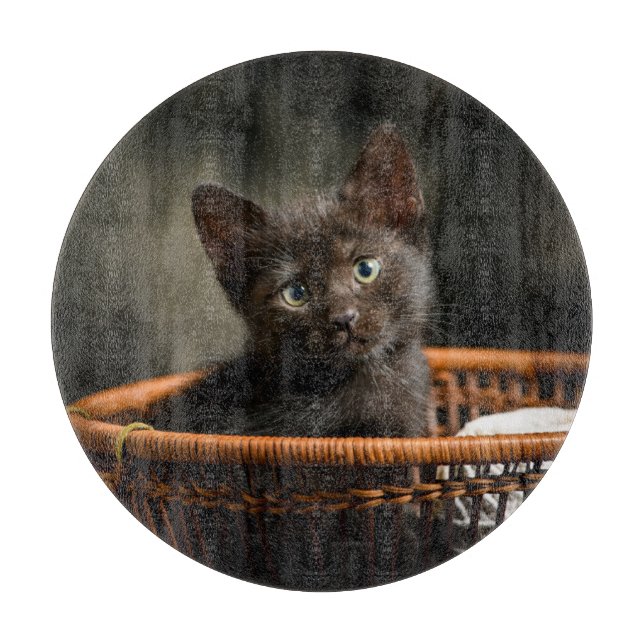 Planche À Découper Animaux de bébés cutest | Kitten dans le panier (Devant)