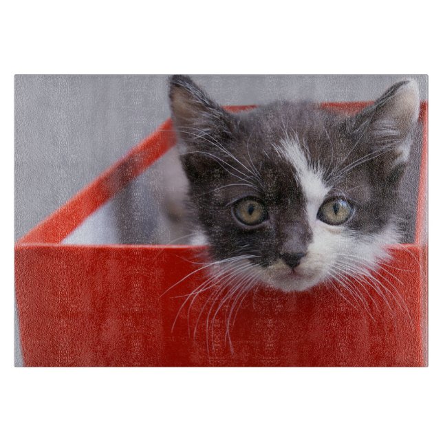 Planche À Découper Animaux de bébés cutest | Kitten noir et blanc (Devant)