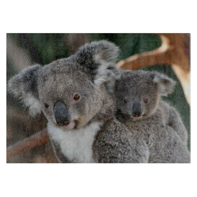 Planche À Découper Animaux de bébés cutest | Koala et Joey (Devant)