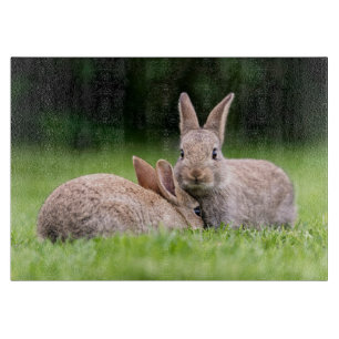 Planche À Découper Animaux de bébés cutest   Lapins de lapin sauvage