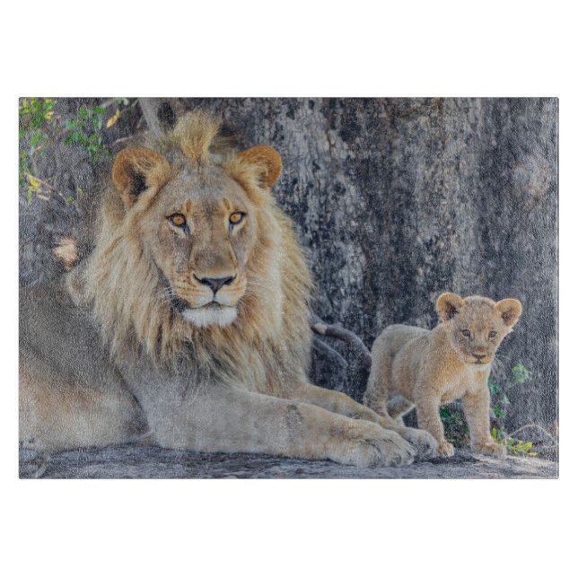 Planche À Découper Animaux de bébés cutest | Lion Dad & Cub (Devant)