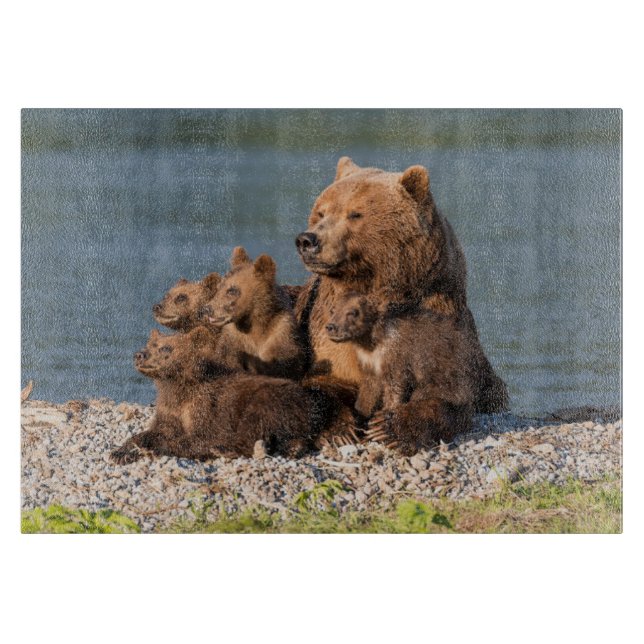 Planche À Découper Animaux de bébés cutest | Mère Ours & Cubs (Devant)