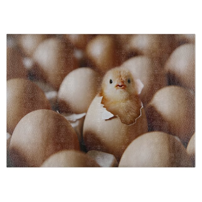 Planche À Découper Animaux de bébés cutest | Nouveau bébé poussin (Devant)