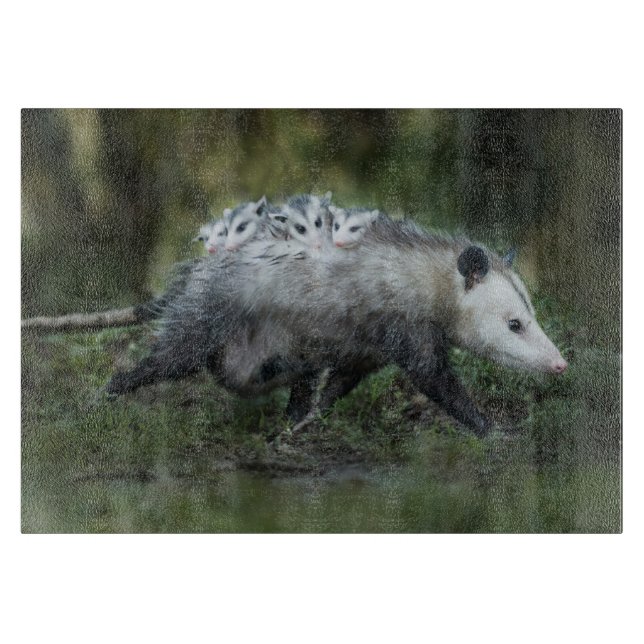Planche À Découper Animaux de bébés cutest | Opossum Maman & Kids (Devant)