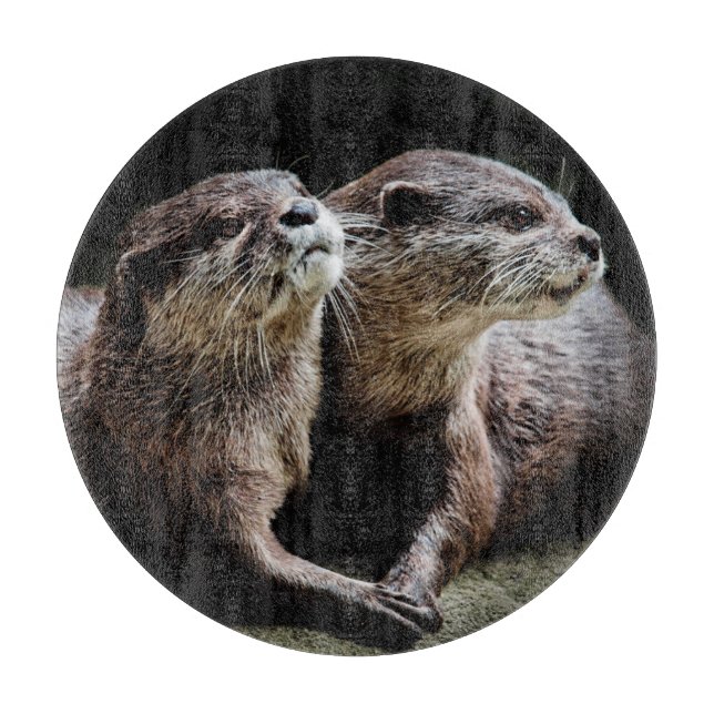 Planche À Découper Animaux de bébés cutest | Otters tenant les mains (Devant)