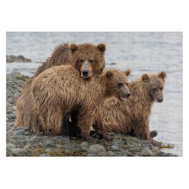 Planche À Découper Animaux de bébés cutest | Ours et oursons (Devant)