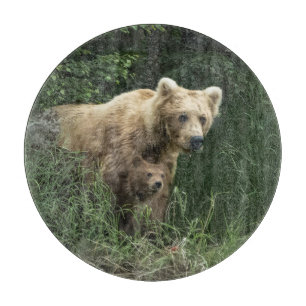 Planche À Découper Animaux de bébés cutest Ours Mama Ours et ses pe