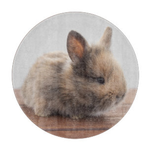 Planche À Découper Animaux de bébés cutest Petit lapin bébé