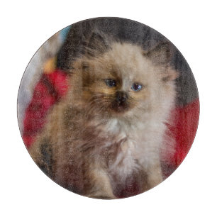 Planche À Découper Animaux de bébés cutest   Siamese Kitten