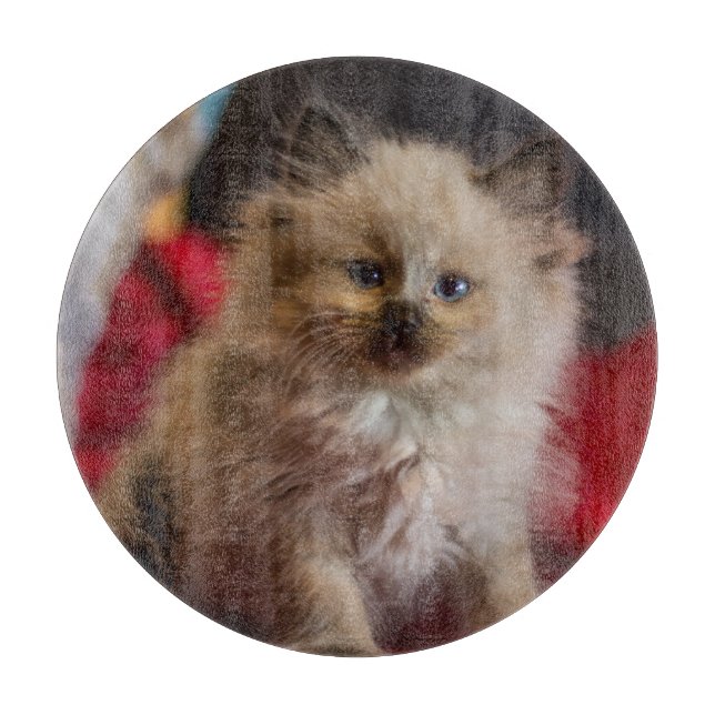 Planche À Découper Animaux de bébés cutest | Siamese Kitten (Devant)