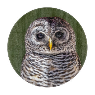 Planche À Découper Animaux de bébés cutest   Tawny Owl