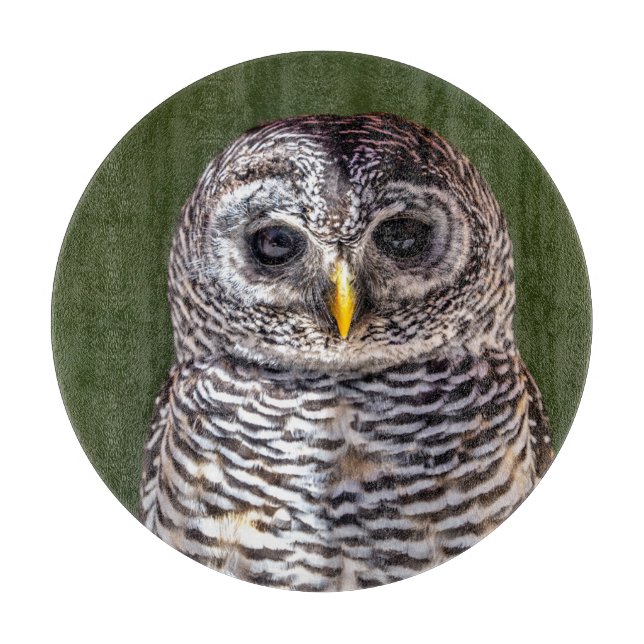 Planche À Découper Animaux de bébés cutest | Tawny Owl (Devant)