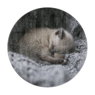 Planche À Découper Animaux de bébés cutest   Tiny Kitten Dormir