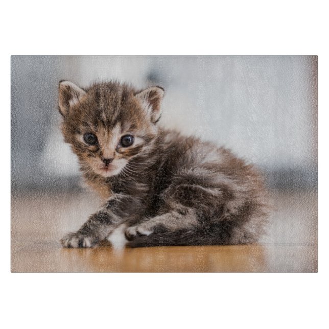 Planche À Découper Animaux de bébés cutest | Tiny Tabby Kitten (Devant)