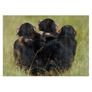 Planche À Découper Animaux de bébés cutest   Trois chimpanzés en trai