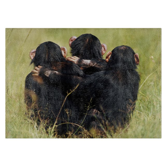 Planche À Découper Animaux de bébés cutest | Trois chimpanzés en trai (Devant)