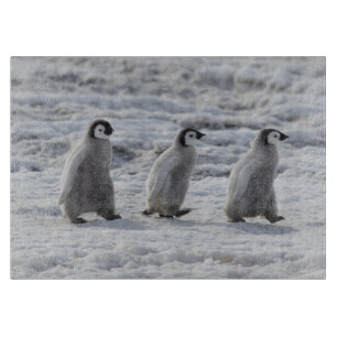 Planche À Découper Animaux de bébés cutest   Trois Épouses Penguin Em