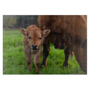 Planche À Découper Animaux de bébés cutest   Vache et veau