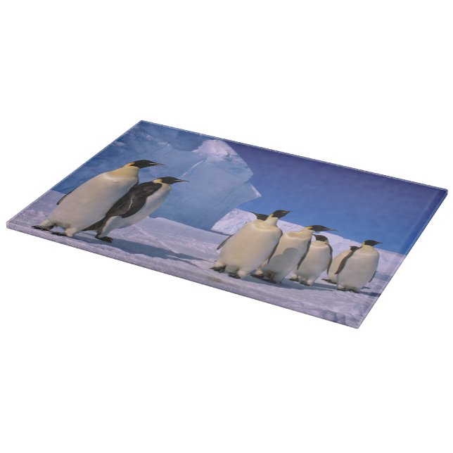 Planche À Découper Antarctique, Territoire antarctique australien, 7 (Coin)