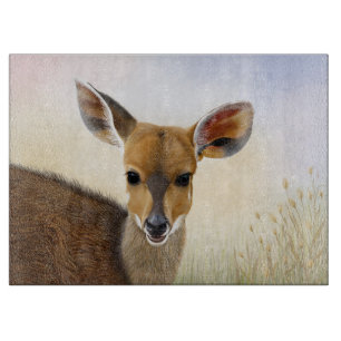 Planche À Découper Antelope Bushbuck Young African Deer Drawing