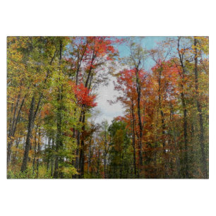 Planche À Découper Arbres d'automne et ciel bleu Photographie de la n