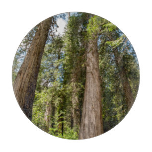 Planche À Découper Arbres de Cèdre Rouge de l'Ouest