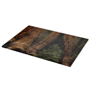 Planche À Découper Arbres de séquoia, Parc national de Sequoia.