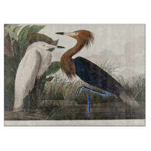 Planche À Découper Art vintage d'Audubon représentant l'Aigrette rous