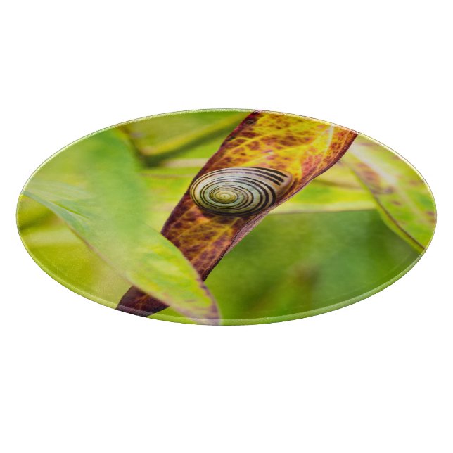 Planche À Découper attachement calme (Coin)