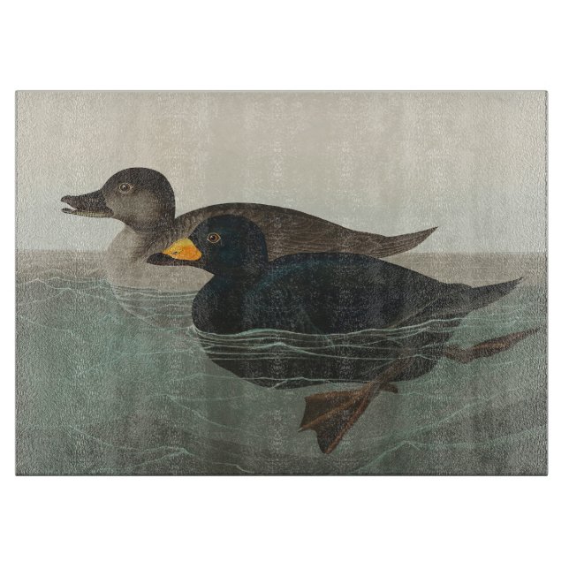 Planche À Découper Audubon American Scoter Duck Classic (Devant)