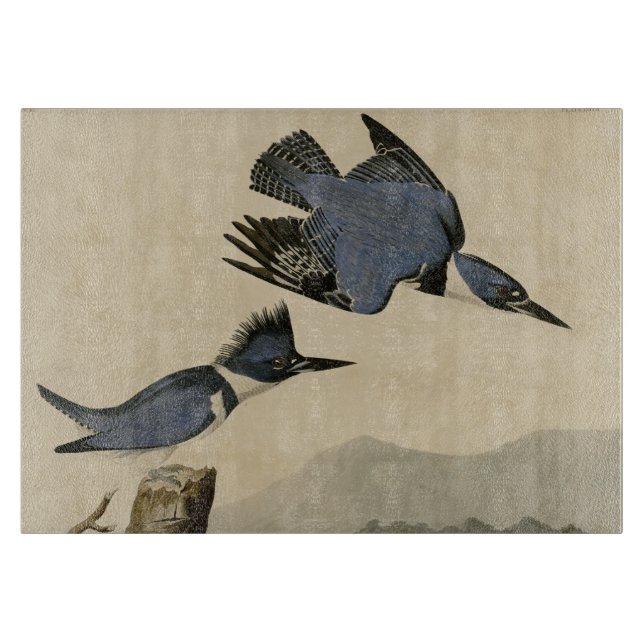 Planche À Découper Audubon Belted Kingfisher Wildlife Bird (Devant)