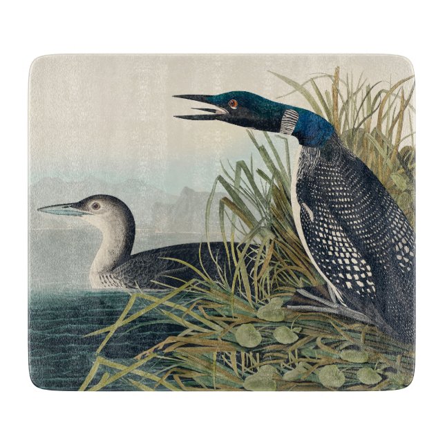 Planche À Découper Audubon Bird Loon Diver Classic (Devant)