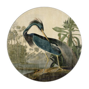 Planche À Découper Audubon Héron de Louisiane Oiseaux Amérique Art