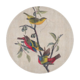 Planche À Découper Audubon Peint Bunting Bird Wildlife