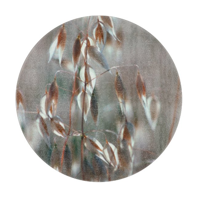 Planche À Découper Avoine Mûre (Avena Sativa) Gros Plan. Ceres, Bolan (Devant)
