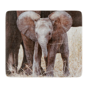 Planche À Découper Baby Elephant mignon Eléphant africain avec maman