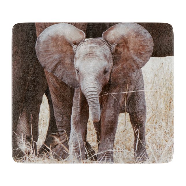 Planche À Découper Baby Elephant mignon Eléphant africain avec maman (Devant)