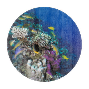 Planche À Découper Banc de rougets autour d'un petit corail