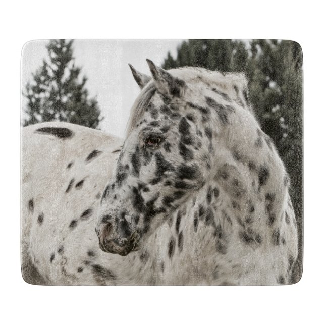 Planche À Découper Beau Appaloosa noir et blanc (Devant)