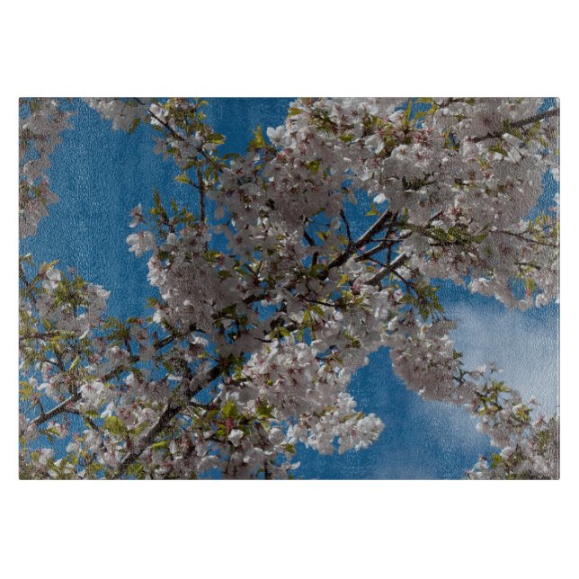 Planche À Découper Beau cerisier en fleurs contre ciel bleu. (Devant)