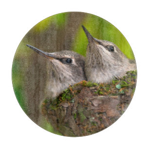 Planche À Découper Bébés colibris