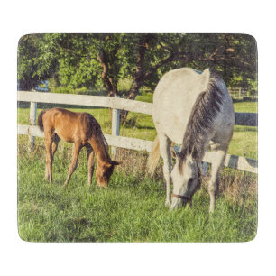 Planche À Découper Belle ferme de chevaux et de poulains