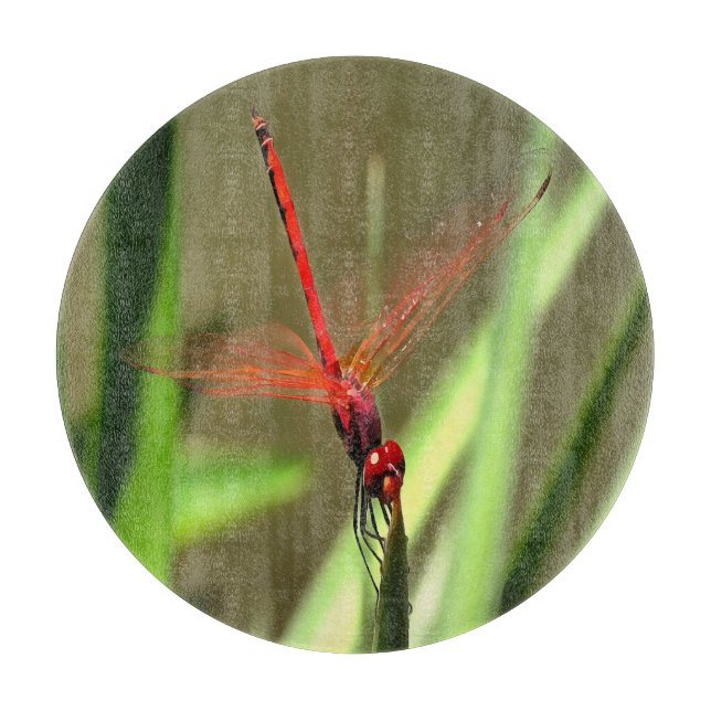 Planche À Découper Belle peinture acrylique de libellule de fût (Devant)