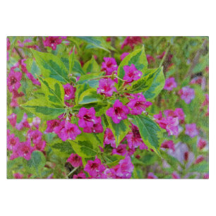 Planche À Découper Belle Weigela verte avec des fleurs de Crimson