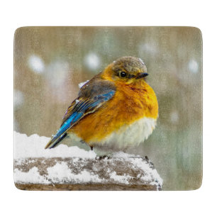 Planche À Découper Bleuet de l'Est en neige - Photo originale