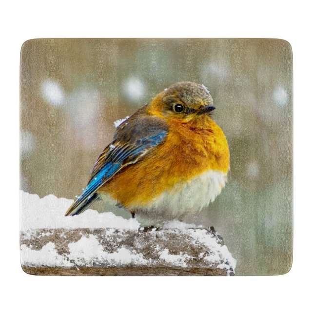 Planche À Découper Bleuet de l'Est en neige - Photo originale (Devant)