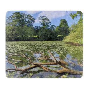 Planche À Découper Branches dans l'eau