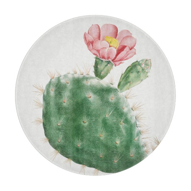 Planche À Découper Cactus Cochenillifer, Illustration Antique, 1799  (Devant)
